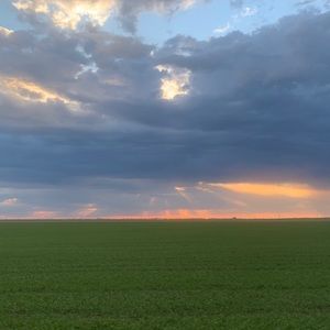 Meet your Posher, Adrea